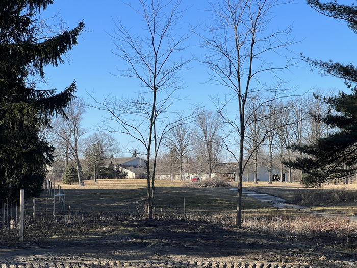Romeo Golf & Country Club - Probably Clubhouse Jan 14 2023
